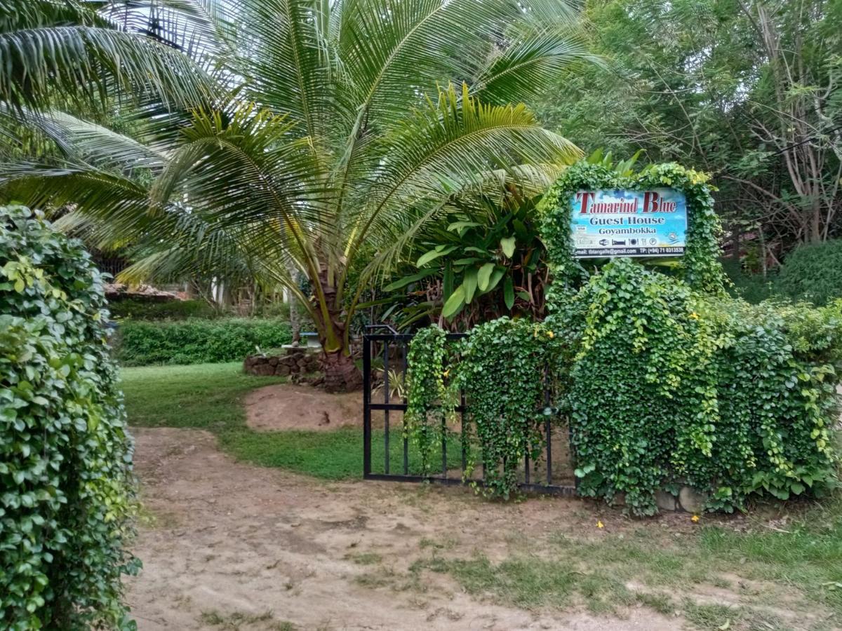 فندق Tamarind Blue تانجالي المظهر الخارجي الصورة